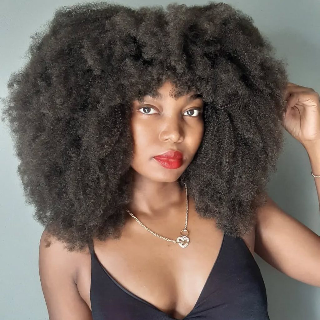 Curly Afro Wig Hairstyles for Women   – nappy_curlsss – 1