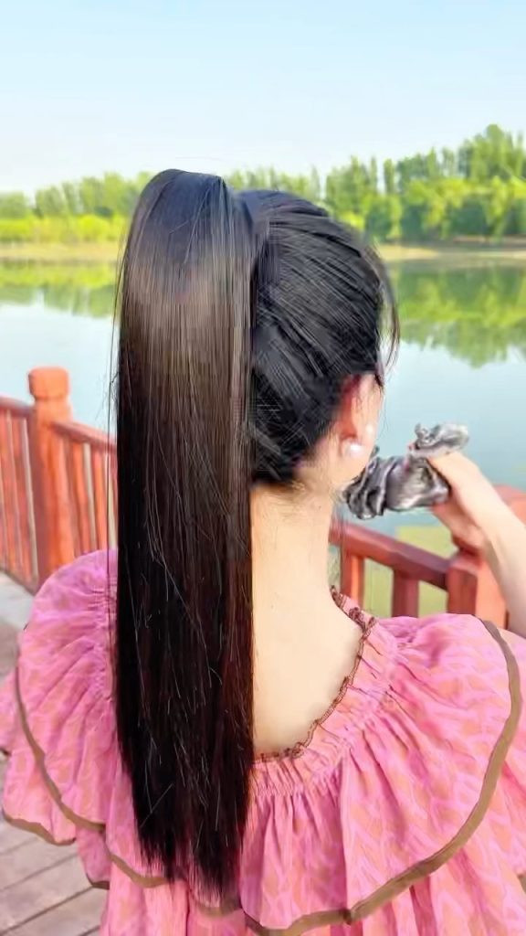 High Ponytail Wig Hairstyles for Women   – yanglan942 – 1