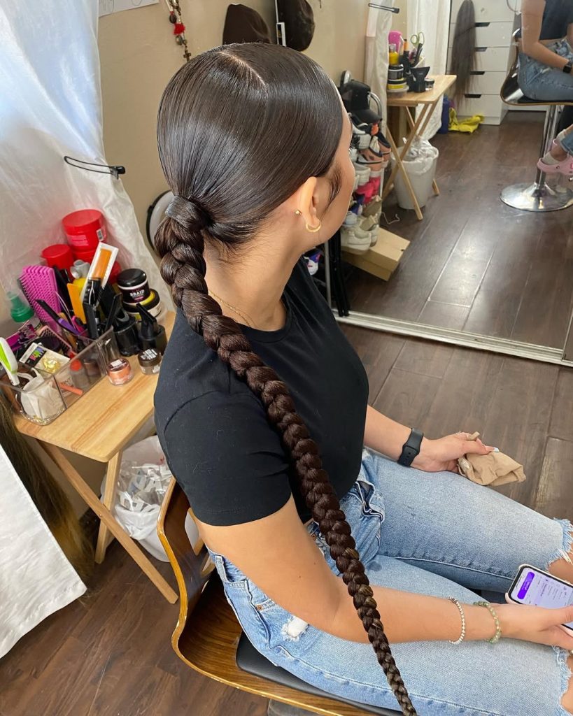 Low Braided Ponytail Hairstyles for Women  – braidedbyclara – 1